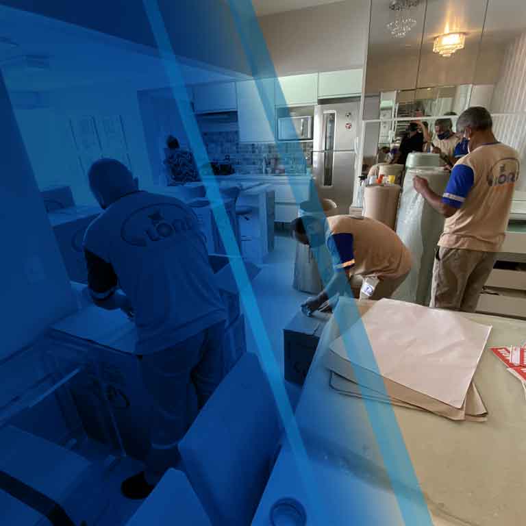 Lord Mudanças Completas Mobile